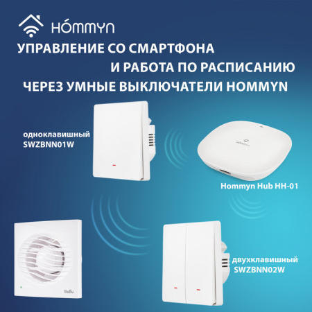 Вытяжка для ванной диаметр 100 мм Ballu BAF-AR 100 VP в Москве