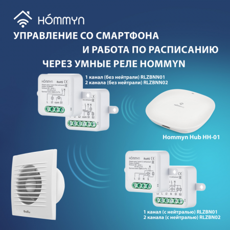 Вытяжка для ванной диаметр 100 мм Ballu BAF-FW 100 N в Москве